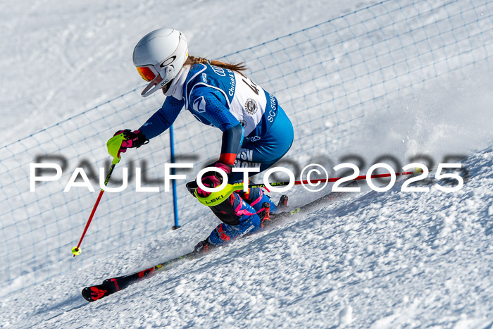 6. SVM Cup U14/16 MSM SL