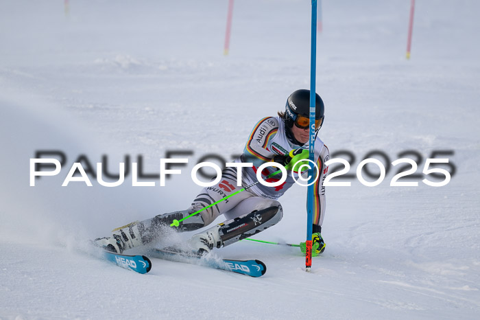 NJC Slalom Herren 15.02.2025