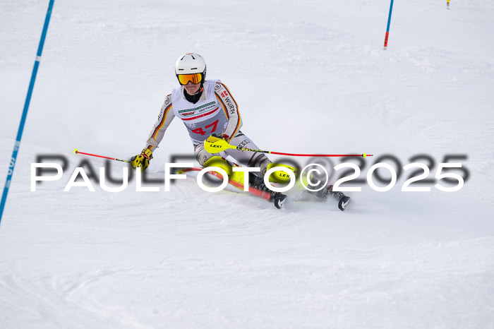 NJC Slalom Herren 15.02.2025