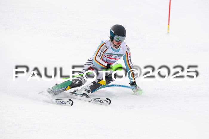 NJC Slalom Herren 15.02.2025