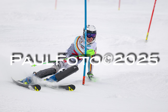 NJC Slalom Herren 15.02.2025