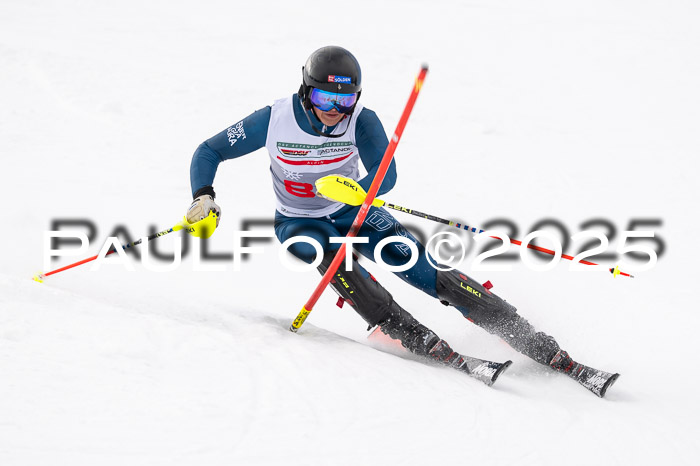 NJC Slalom Herren 15.02.2025