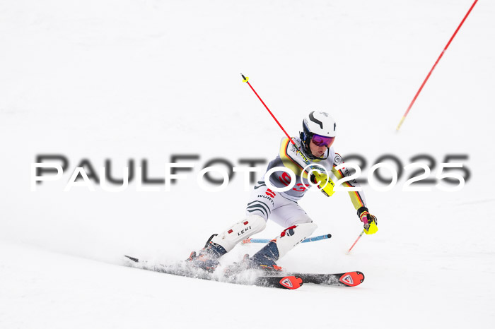 NJC Slalom Herren 15.02.2025