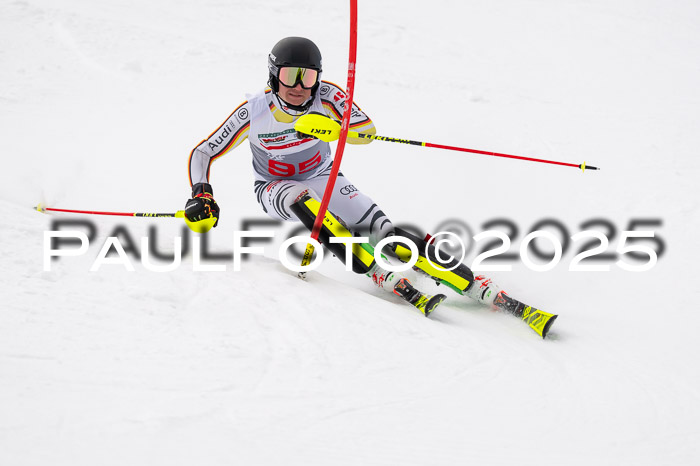 NJC Slalom Herren 15.02.2025