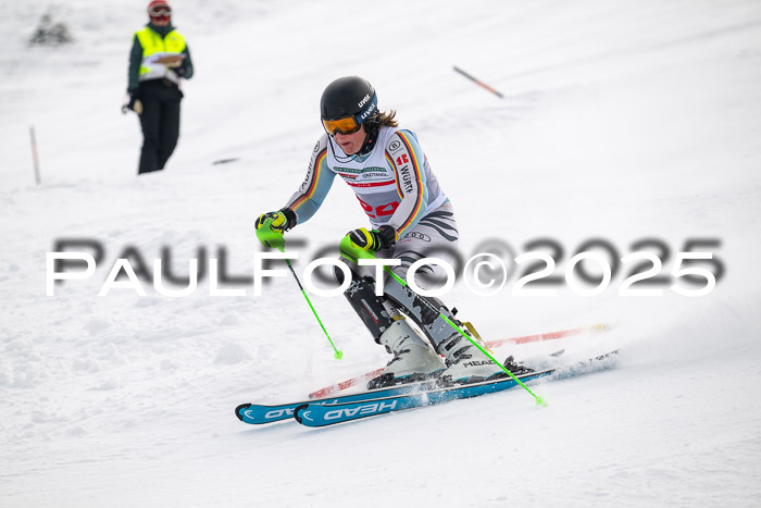 NJC Slalom Herren 15.02.2025