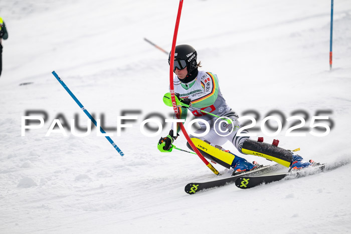 NJC Slalom Herren 15.02.2025