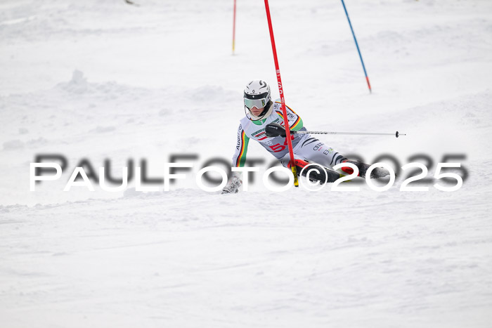 NJC Slalom Herren 15.02.2025