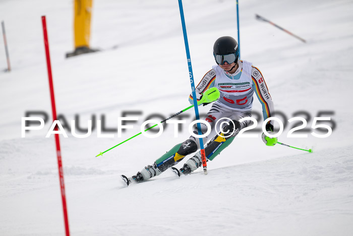 NJC Slalom Herren 15.02.2025
