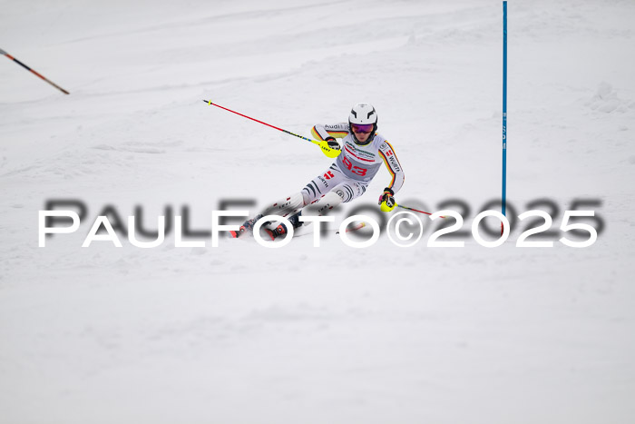 NJC Slalom Herren 15.02.2025