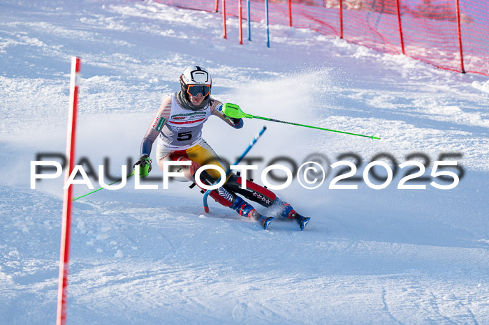 NJC Slalom Damen 15.02.2025