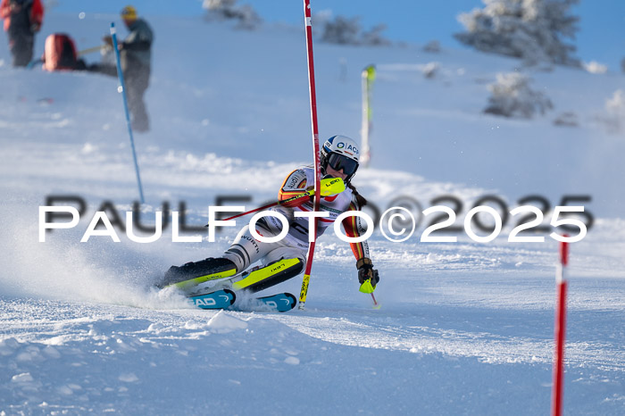 NJC Slalom Damen 15.02.2025
