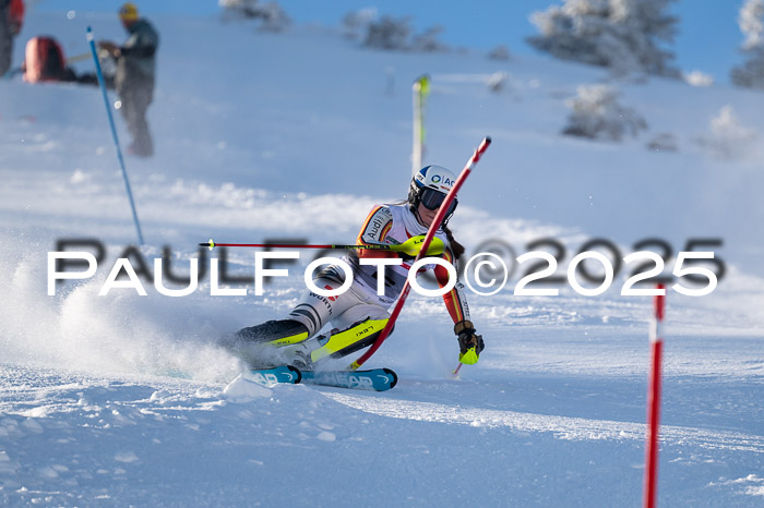 NJC Slalom Damen 15.02.2025