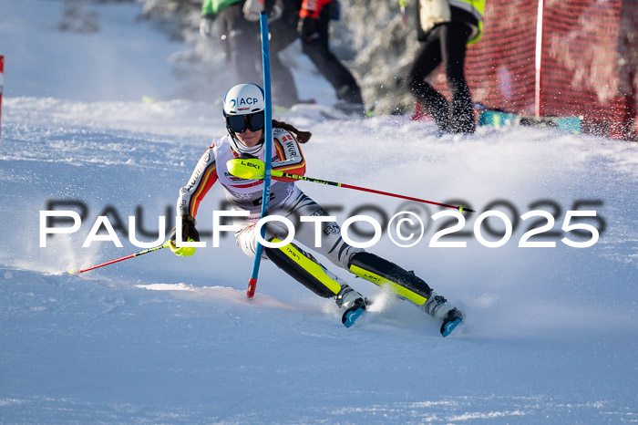 NJC Slalom Damen 15.02.2025