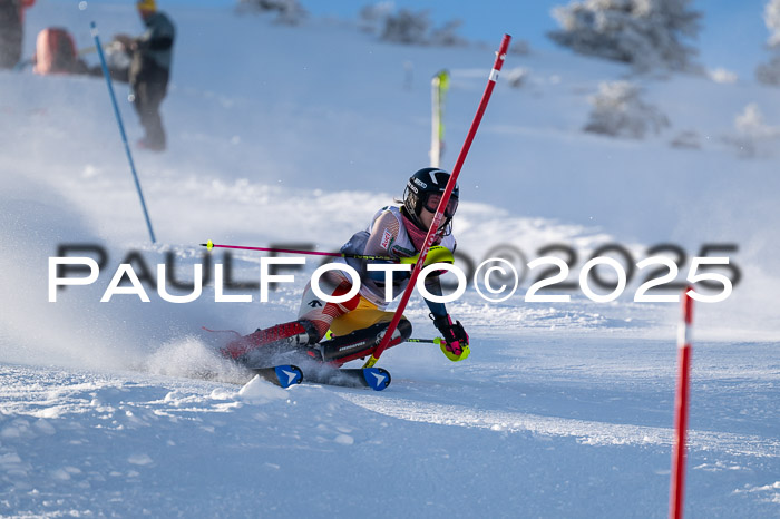 NJC Slalom Damen 15.02.2025