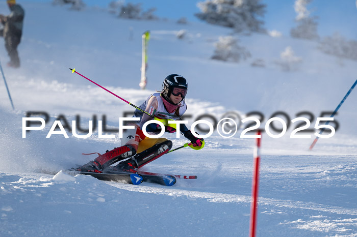 NJC Slalom Damen 15.02.2025