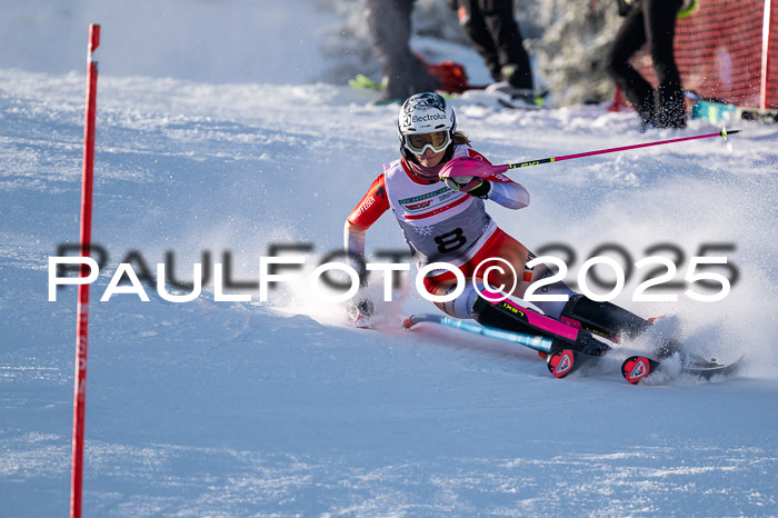 NJC Slalom Damen 15.02.2025
