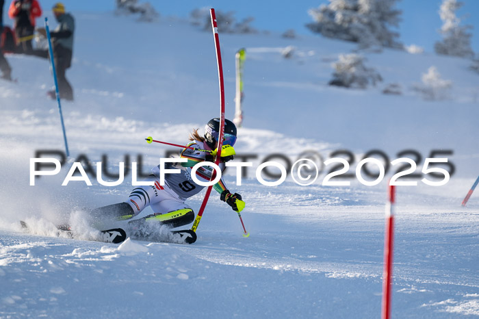 NJC Slalom Damen 15.02.2025