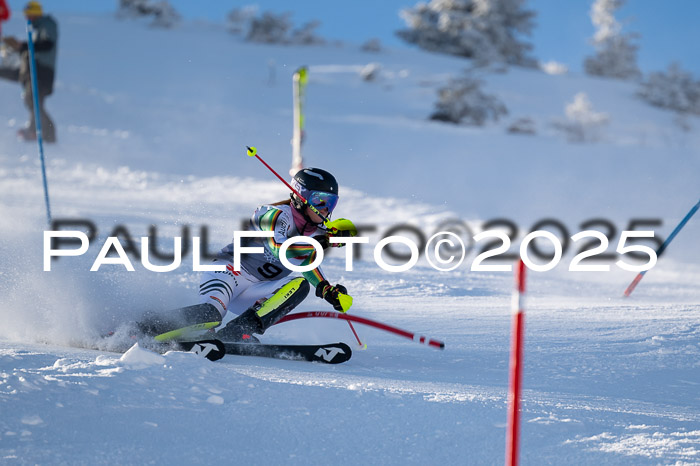 NJC Slalom Damen 15.02.2025