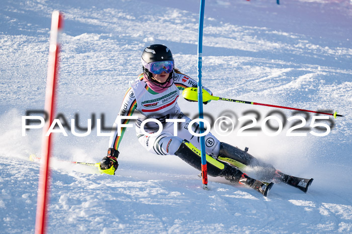 NJC Slalom Damen 15.02.2025
