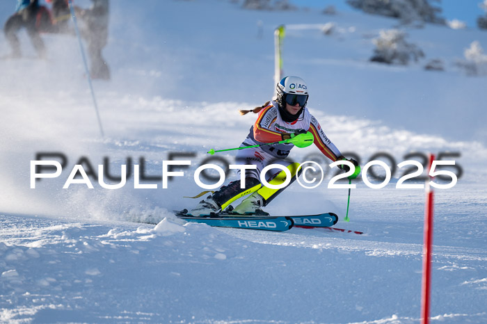 NJC Slalom Damen 15.02.2025