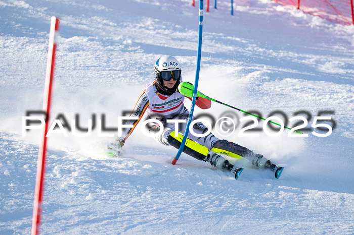 NJC Slalom Damen 15.02.2025