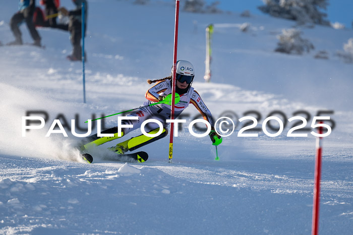 NJC Slalom Damen 15.02.2025