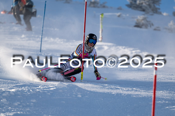 NJC Slalom Damen 15.02.2025