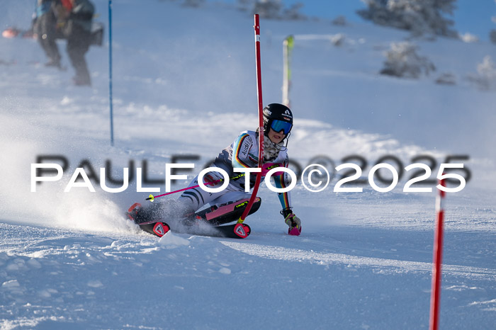 NJC Slalom Damen 15.02.2025