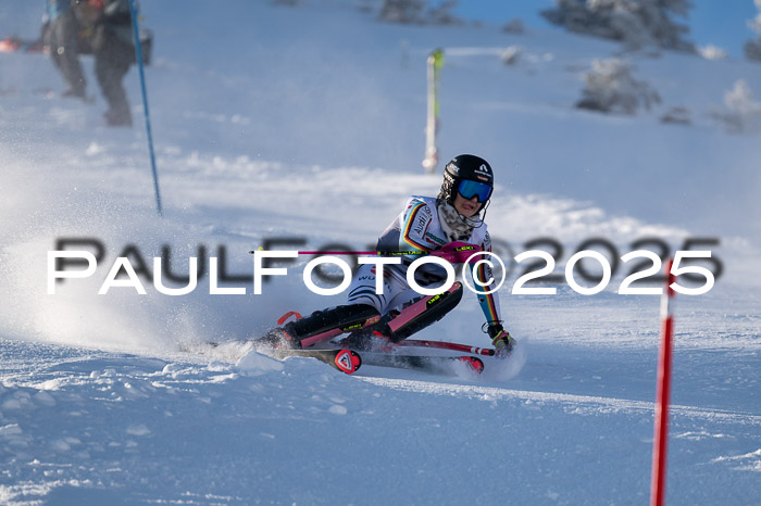 NJC Slalom Damen 15.02.2025