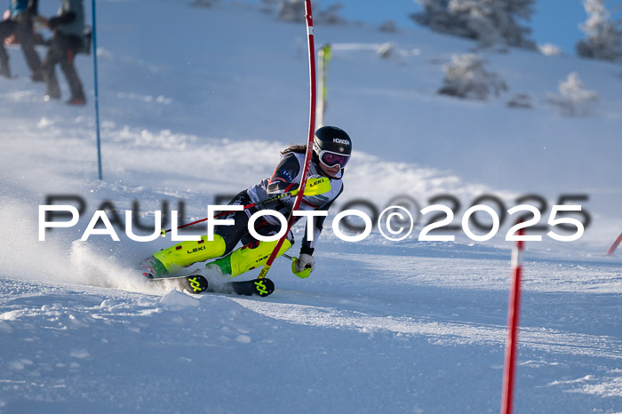 NJC Slalom Damen 15.02.2025