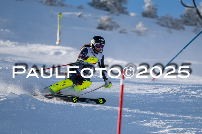 NJC Slalom Damen 15.02.2025