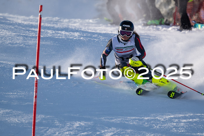 NJC Slalom Damen 15.02.2025