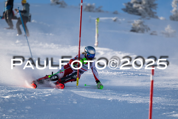 NJC Slalom Damen 15.02.2025