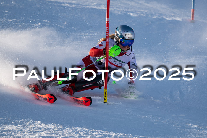NJC Slalom Damen 15.02.2025