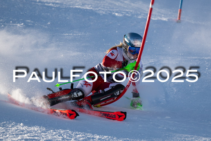 NJC Slalom Damen 15.02.2025