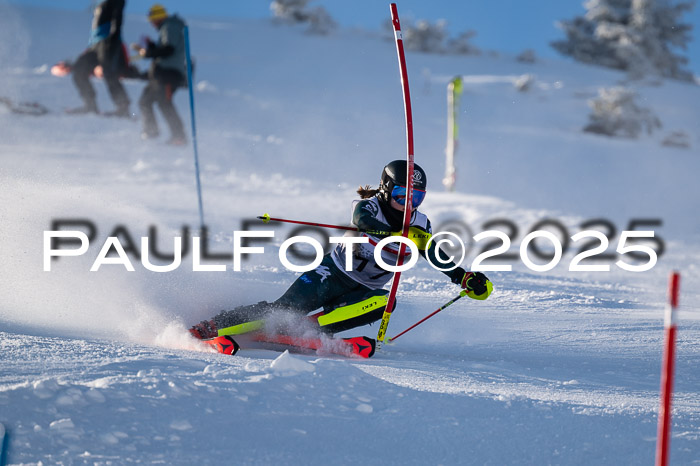 NJC Slalom Damen 15.02.2025