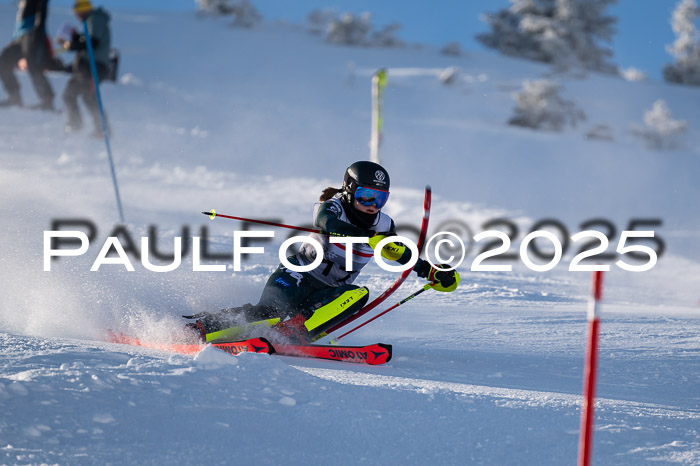 NJC Slalom Damen 15.02.2025