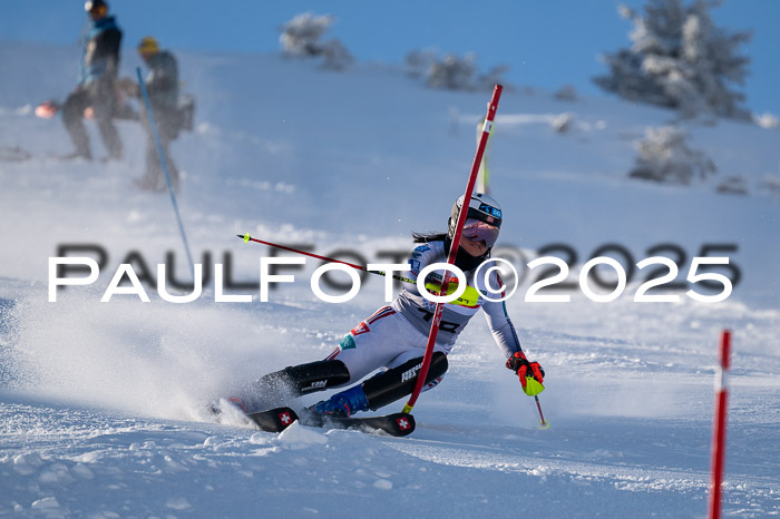NJC Slalom Damen 15.02.2025