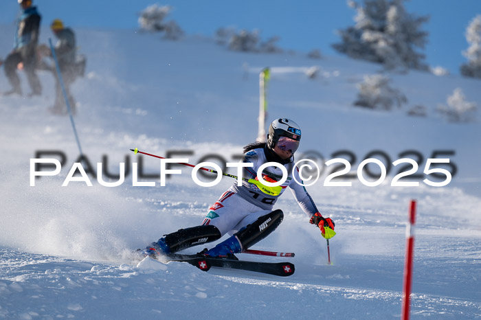 NJC Slalom Damen 15.02.2025