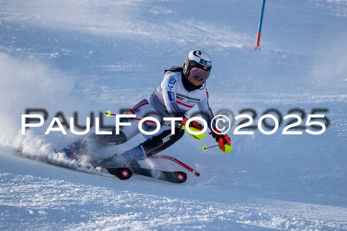 NJC Slalom Damen 15.02.2025