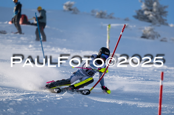 NJC Slalom Damen 15.02.2025