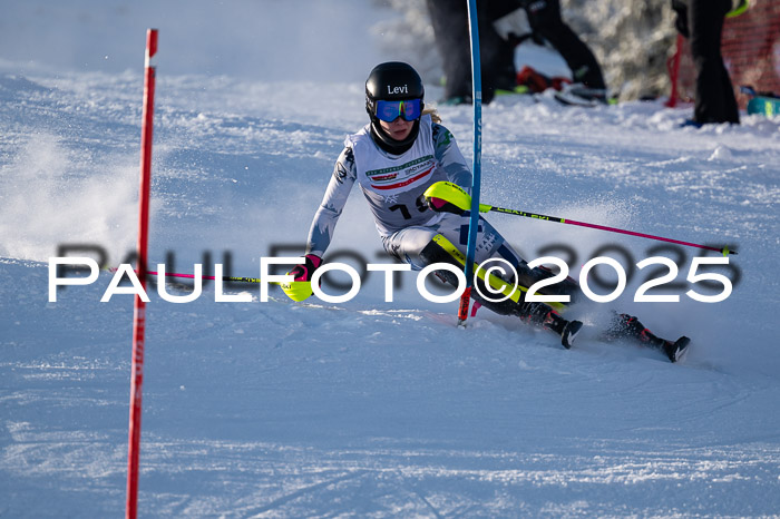 NJC Slalom Damen 15.02.2025