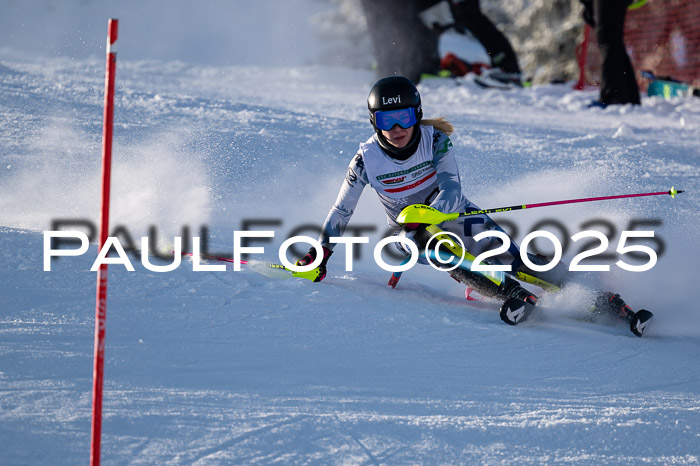 NJC Slalom Damen 15.02.2025
