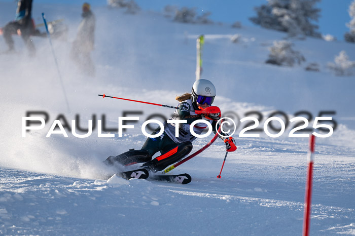 NJC Slalom Damen 15.02.2025