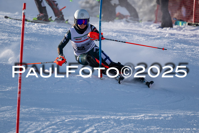 NJC Slalom Damen 15.02.2025