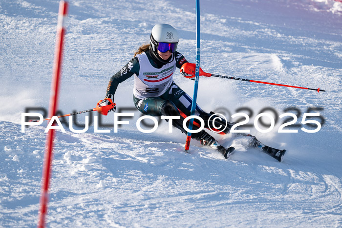NJC Slalom Damen 15.02.2025