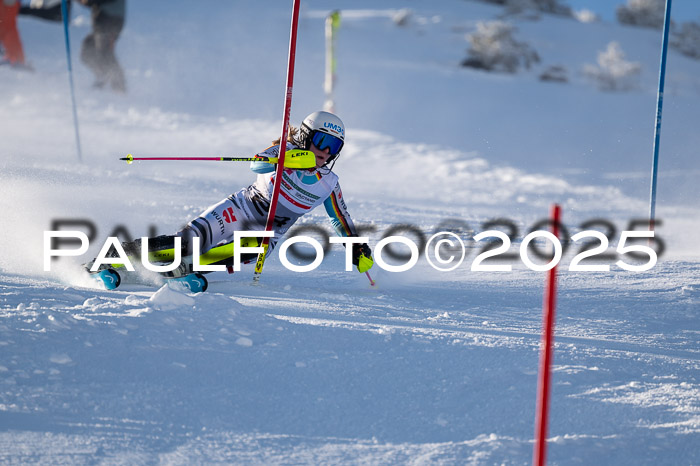 NJC Slalom Damen 15.02.2025