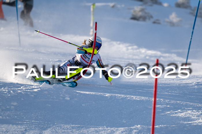 NJC Slalom Damen 15.02.2025