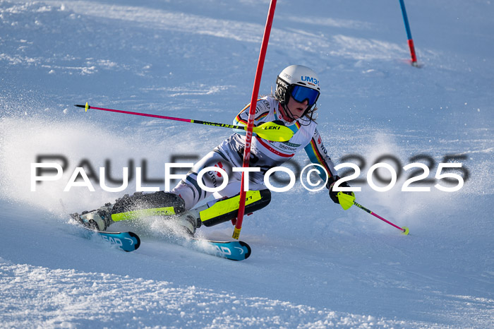 NJC Slalom Damen 15.02.2025