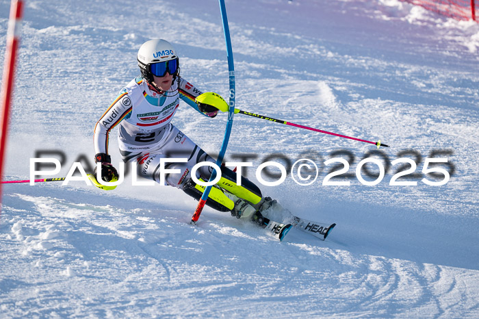 NJC Slalom Damen 15.02.2025